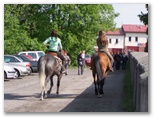Targi Końskie w Pajęcznie
