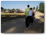 dni rząśni 2010
