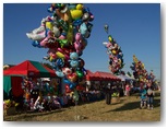 dni rząśni 2010