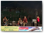 dni działoszyna 2010