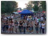 dni działoszyna 2010