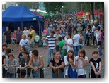 dni działoszyna 2010