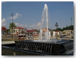 dni działoszyna 2010