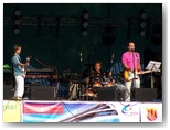 dni działoszyna 2010