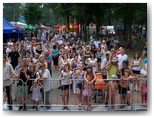 dni działoszyna 2010