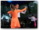 dni działoszyna 2010