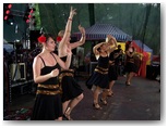 dni działoszyna 2010