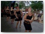 dni działoszyna 2010