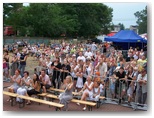 dni działoszyna 2010
