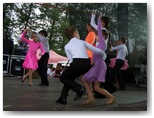 dni działoszyna 2010