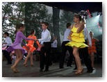 dni działoszyna 2010