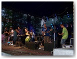 dni działoszyna 2010