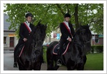 obchody 3 Maja 2011