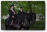obchody 3 maja 2011