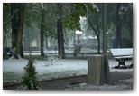 obchody 3 maja 2011